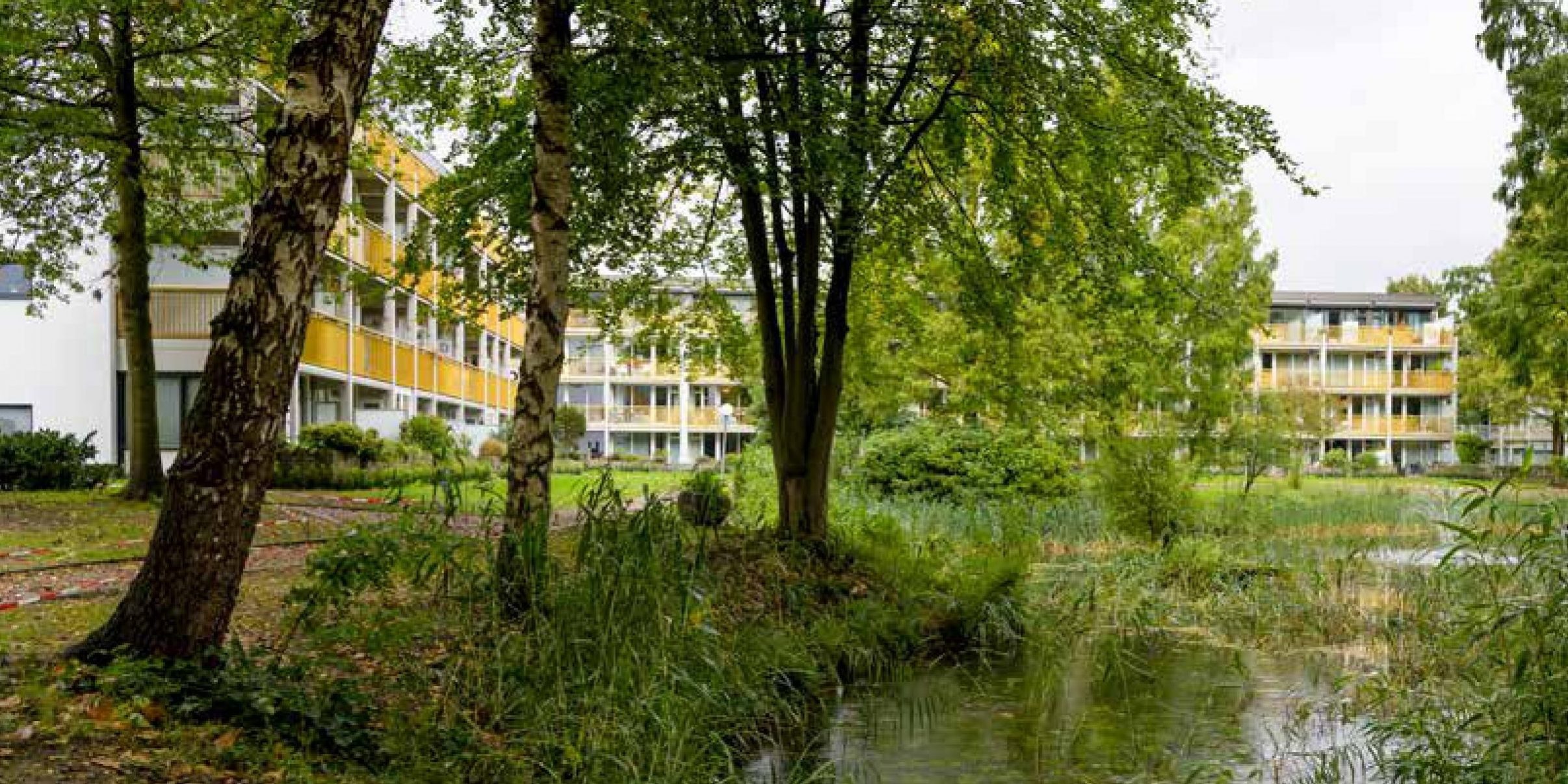 Kop artikel Park Boswijk VvE Magazine februari 2021